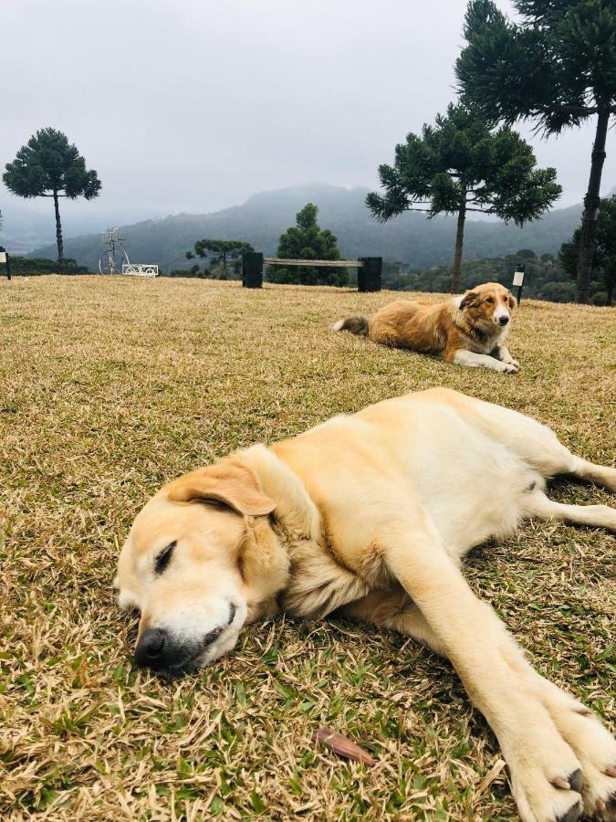 La Mansarda Hotel Urubici Dış mekan fotoğraf